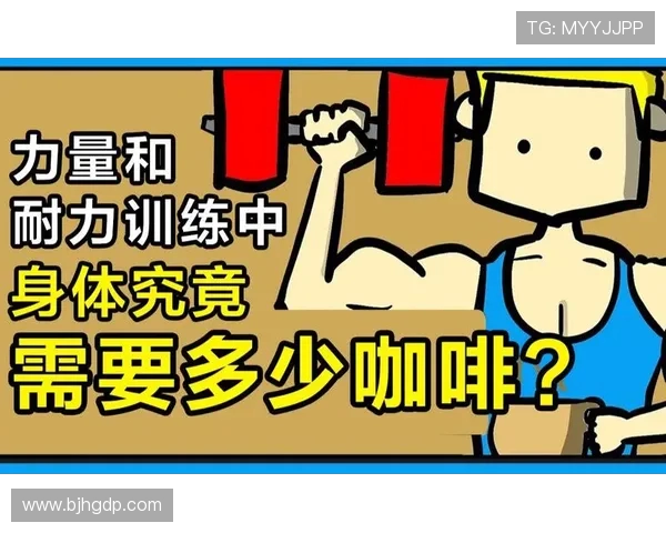 从零起步掌握足球耐力训练全攻略助你成为场上持久战士