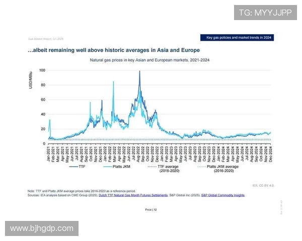 专业分析LNG市场的监控策略与应对措施探讨