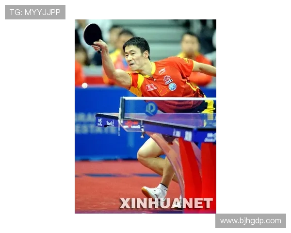 南京乒乓球队在世界锦标赛中的团队协作表现分析与点评