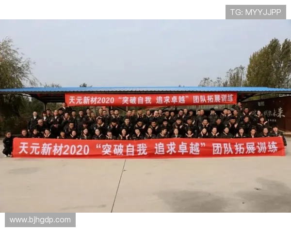 南京排球队的灵活性揭秘:如何在赛场上展现卓越技艺与团队协作