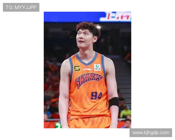 王哲林的篮球之路：从青涩少年到CBA明星的成长故事与奋斗历程