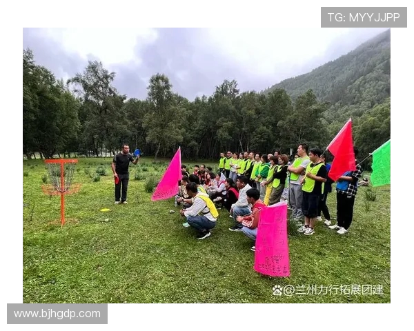 飞盘盛宴:深入深圳飞盘队的团队精神与协作之道 飞盘盛宴:深入深圳飞盘队的团队精神与协作之道