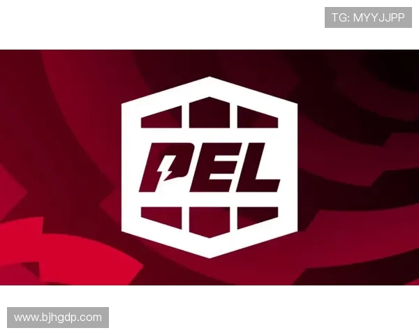 和平精英赛事经验排行榜揭晓EDG荣获第二名表现出色